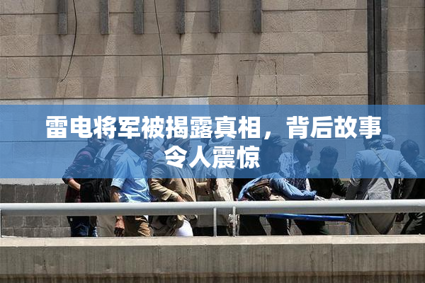 雷电将军被揭露真相，背后故事令人震惊