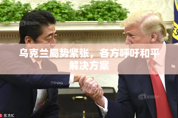 乌克兰局势紧张，各方呼吁和平解决方案