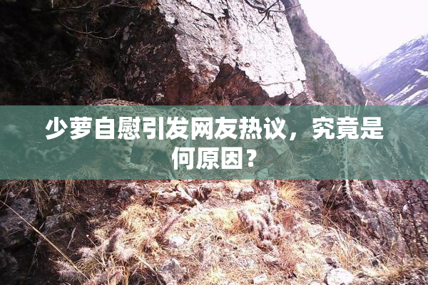少萝自慰引发网友热议，究竟是何原因？