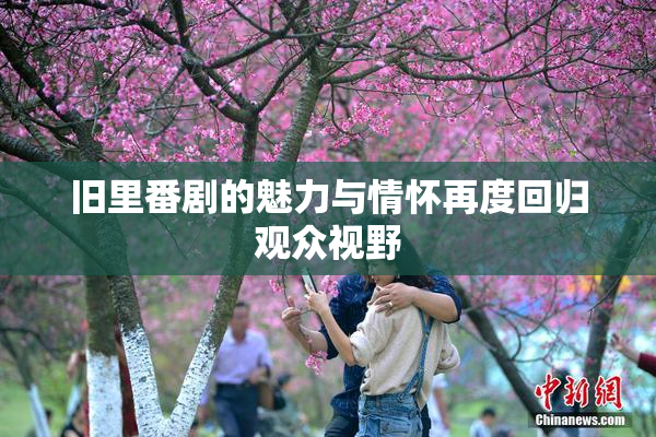 旧里番剧的魅力与情怀再度回归观众视野