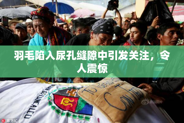 羽毛陷入尿孔缝隙中引发关注，令人震惊