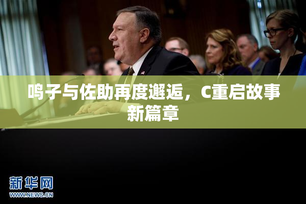 鸣子与佐助再度邂逅，C重启故事新篇章