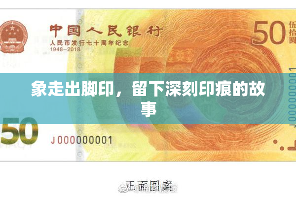 象走出脚印，留下深刻印痕的故事