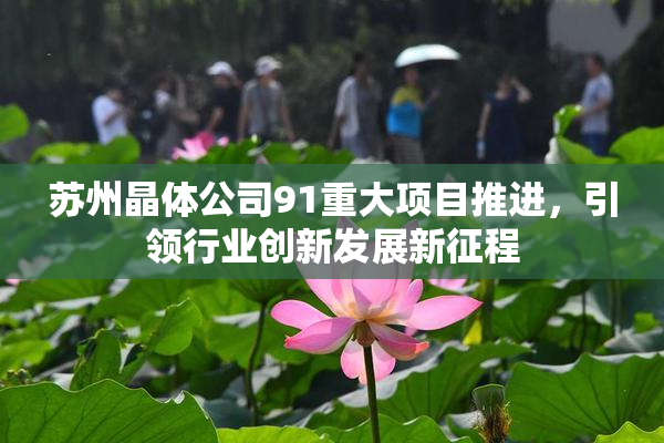 苏州晶体公司91重大项目推进，引领行业创新发展新征程