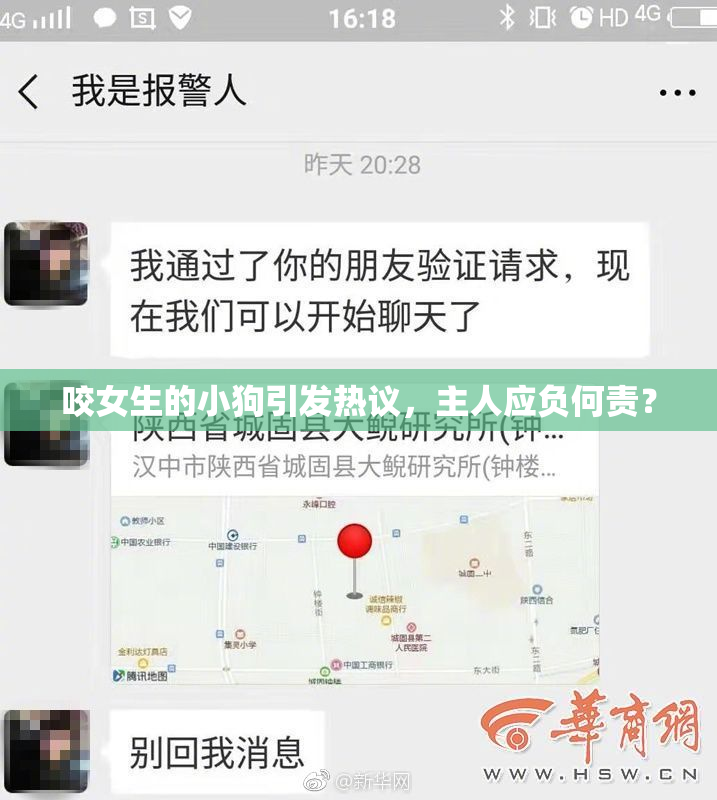 咬女生的小狗引发热议，主人应负何责？