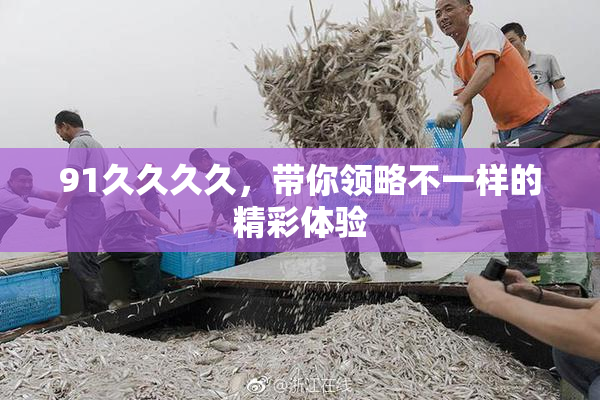 91久久久久，带你领略不一样的精彩体验