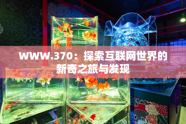 WWW.370：探索互联网世界的新奇之旅与发现
