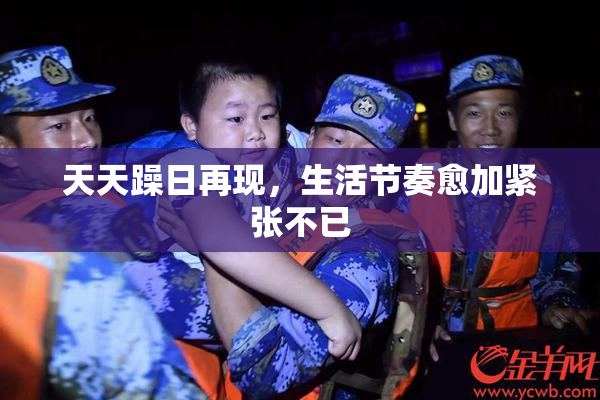 天天躁日再现，生活节奏愈加紧张不已