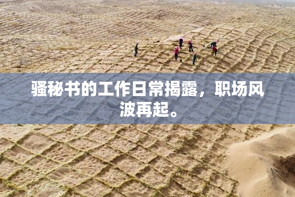 骚秘书的工作日常揭露，职场风波再起。