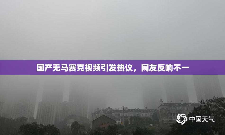 国产无马赛克视频引发热议，网友反响不一