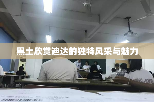 黑土欣赏迪达的独特风采与魅力