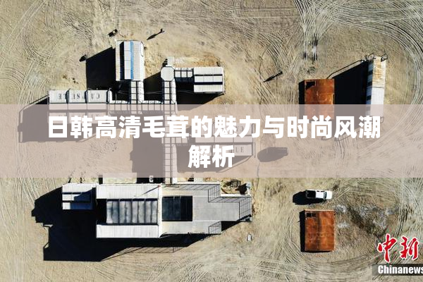 日韩高清毛茸的魅力与时尚风潮解析