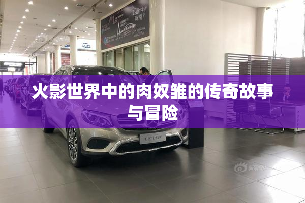 火影世界中的肉奴雏的传奇故事与冒险