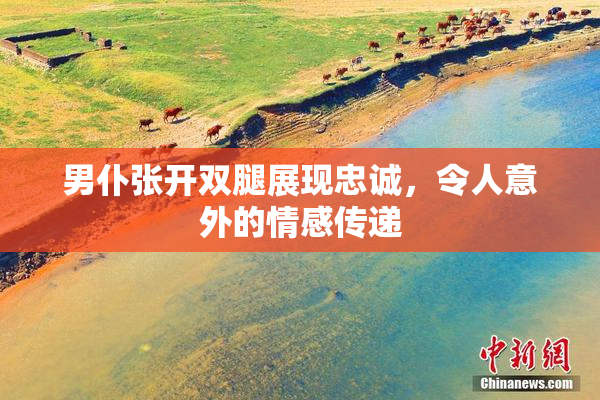 男仆张开双腿展现忠诚，令人意外的情感传递