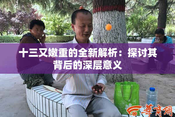 十三又嫩重的全新解析：探讨其背后的深层意义