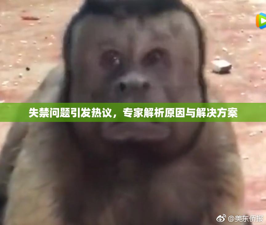 失禁问题引发热议，专家解析原因与解决方案