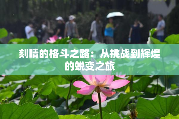 刻晴的格斗之路：从挑战到辉煌的蜕变之旅