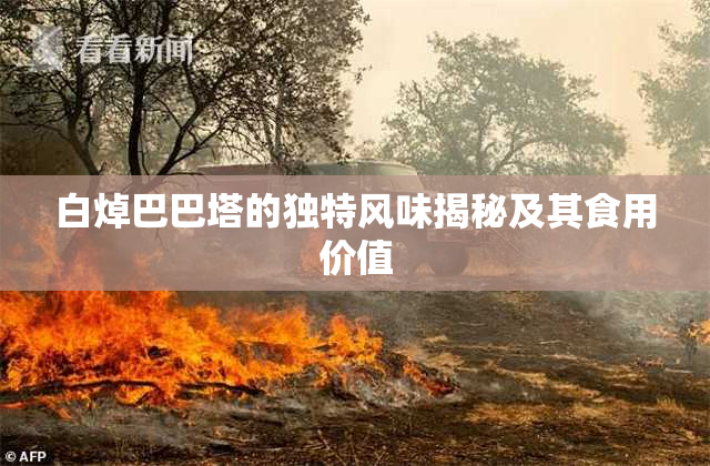 白焯巴巴塔的独特风味揭秘及其食用价值