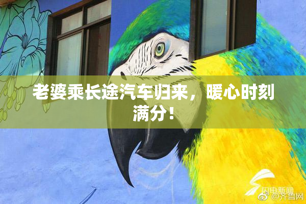 老婆乘长途汽车归来，暖心时刻满分！
