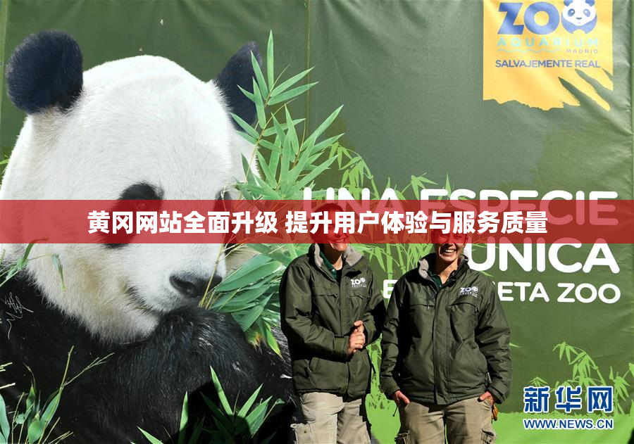 黄冈网站全面升级 提升用户体验与服务质量