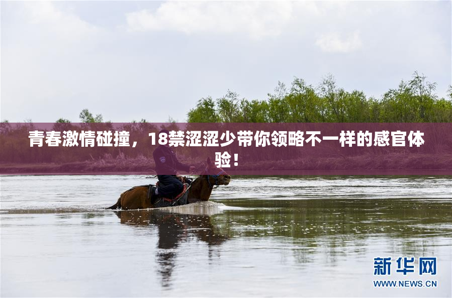 青春激情碰撞，18禁涩涩少带你领略不一样的感官体验！