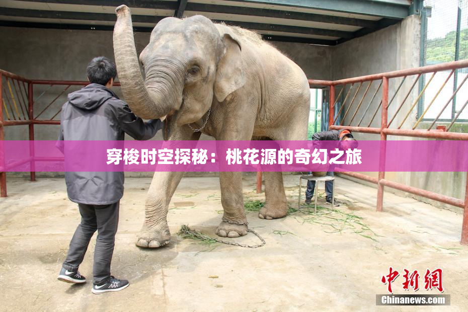 穿梭时空探秘：桃花源的奇幻之旅