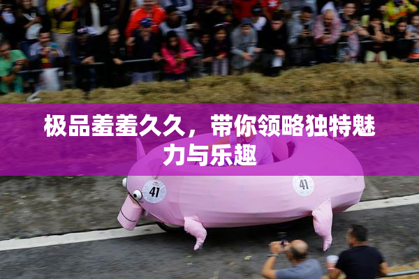 极品羞羞久久，带你领略独特魅力与乐趣