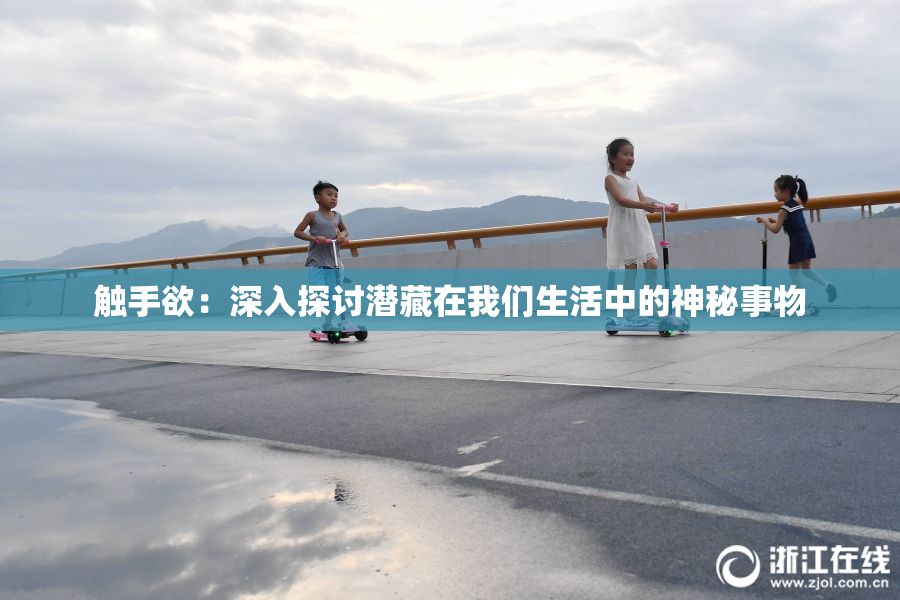 触手欲：深入探讨潜藏在我们生活中的神秘事物
