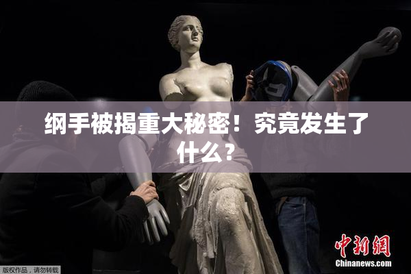 纲手被揭重大秘密！究竟发生了什么？