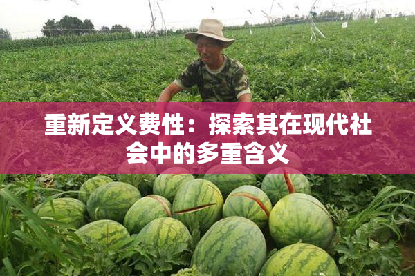 重新定义费性：探索其在现代社会中的多重含义