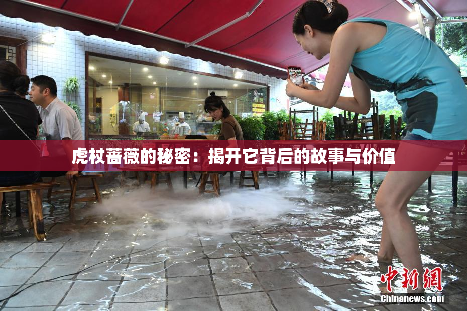虎杖蔷薇的秘密：揭开它背后的故事与价值