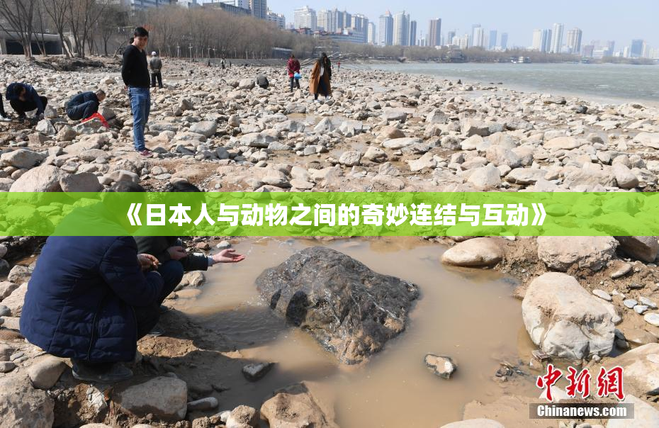 《日本人与动物之间的奇妙连结与互动》