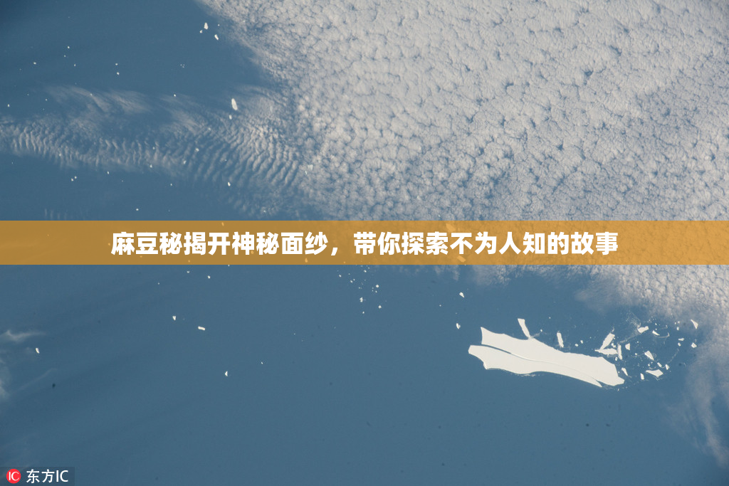 麻豆秘揭开神秘面纱，带你探索不为人知的故事