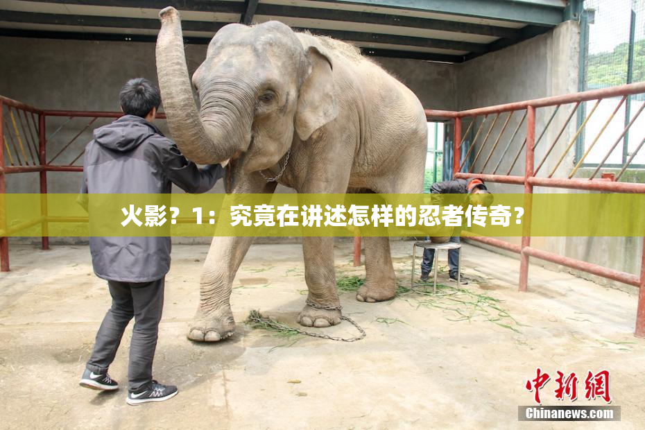火影？1：究竟在讲述怎样的忍者传奇？
