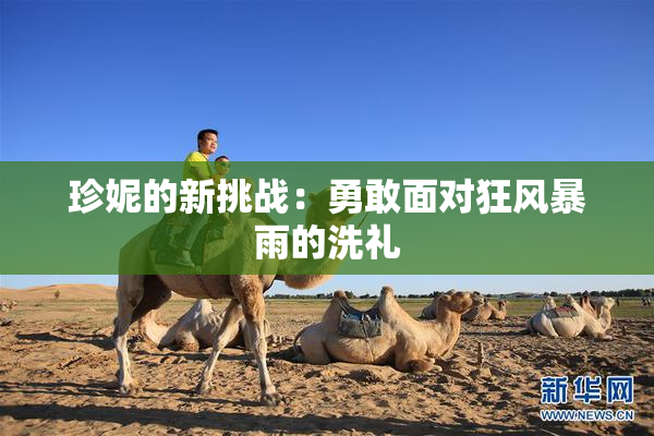 珍妮的新挑战：勇敢面对狂风暴雨的洗礼