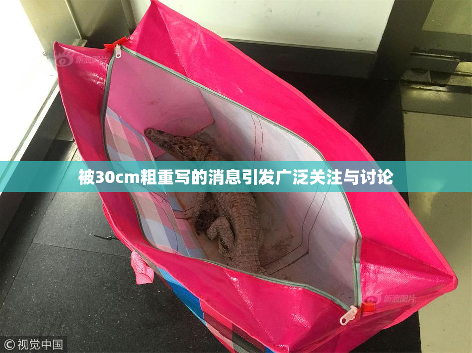被30cm粗重写的消息引发广泛关注与讨论