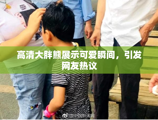 高清大胖熊展示可爱瞬间，引发网友热议