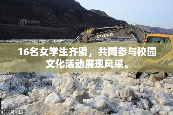 16名女学生齐聚，共同参与校园文化活动展现风采。