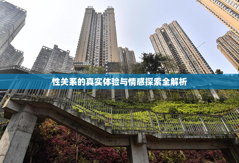 性关系的真实体验与情感探索全解析