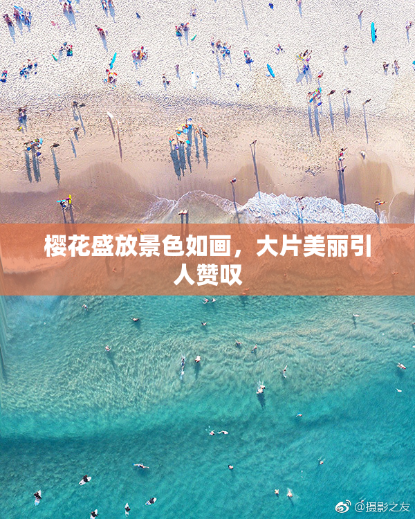 樱花盛放景色如画，大片美丽引人赞叹