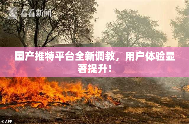 国产推特平台全新调教，用户体验显著提升！