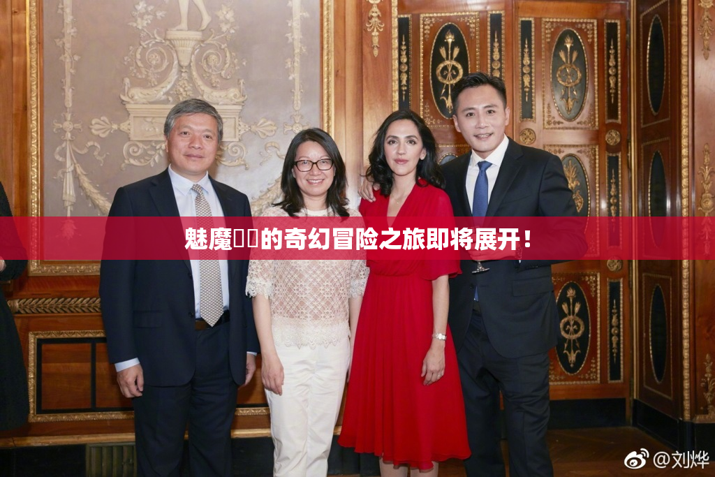 魅魔妺妺的奇幻冒险之旅即将展开！
