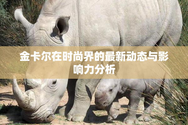 金卡尔在时尚界的最新动态与影响力分析