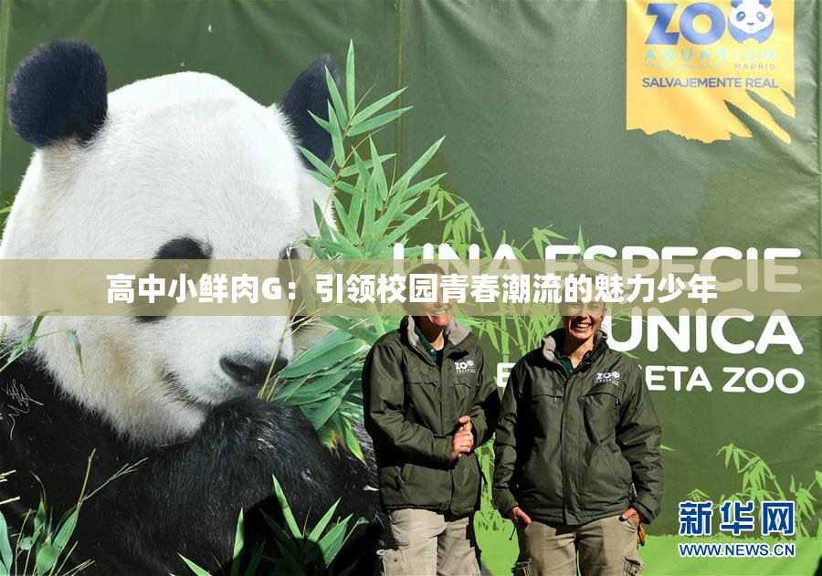 高中小鲜肉G：引领校园青春潮流的魅力少年