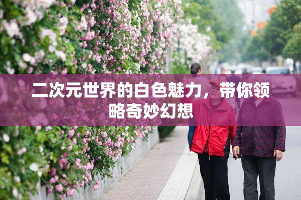 二次元世界的白色魅力，带你领略奇妙幻想