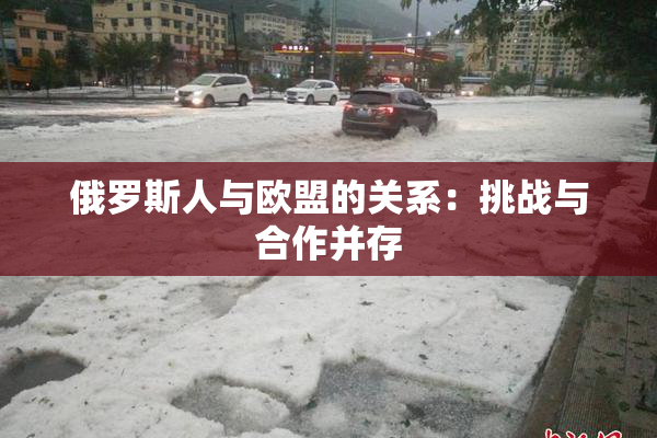 俄罗斯人与欧盟的关系：挑战与合作并存