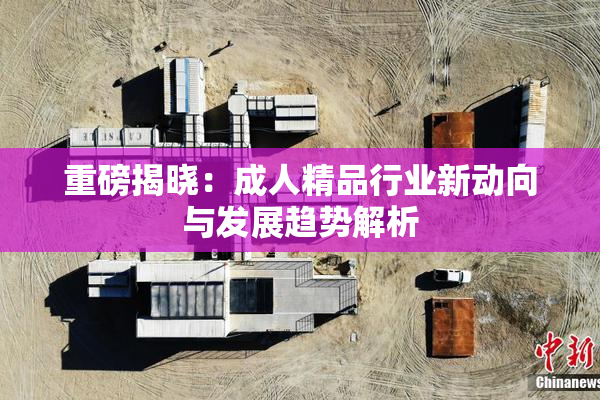 重磅揭晓：成人精品行业新动向与发展趋势解析
