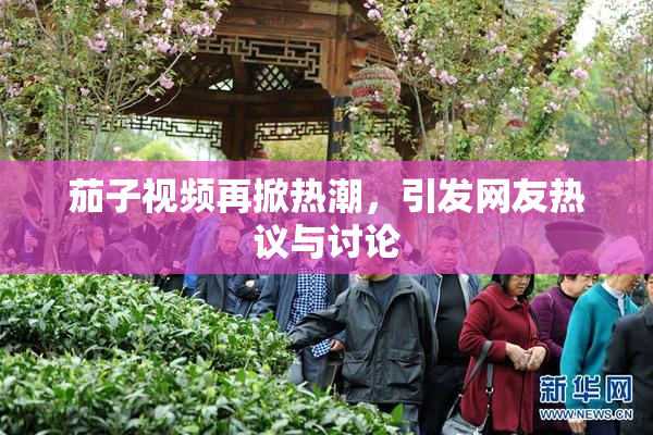 茄子视频再掀热潮，引发网友热议与讨论