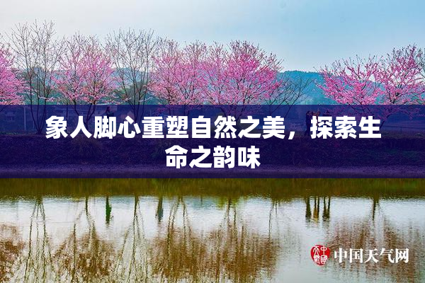 象人脚心重塑自然之美，探索生命之韵味