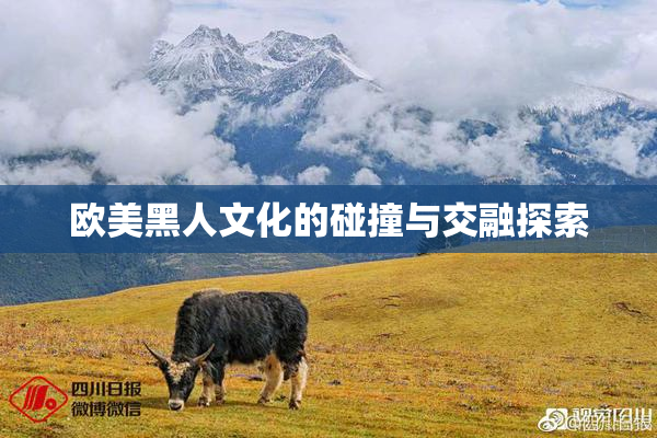 欧美黑人文化的碰撞与交融探索